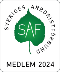 SAF-medlemslogo-vit-2024